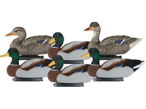 The decoys are a one-piece decoy and all come with fully flocked bodies. . Dakota decoys